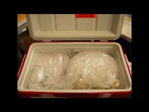 Packing a Cooler