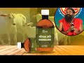 Know the countless benefits of drinking cow urine 7 amazing health benefits of cow urine  patanjali godhan ark