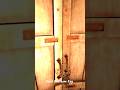 video #gaming#funny #video #kamla