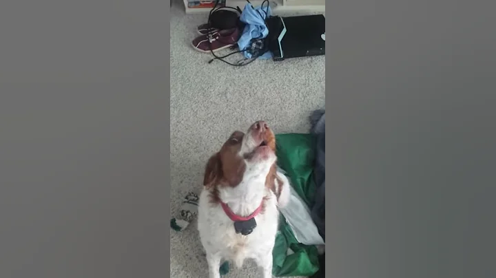 Packer howl