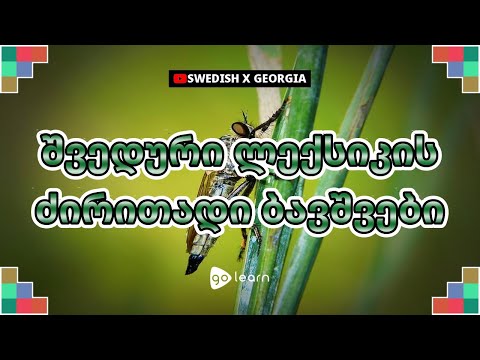 შვედური ლექსიკის ძირითადი ბავშვები | Golearn