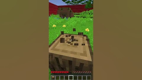 Minecraft, Dar TU Controlezi Cercul