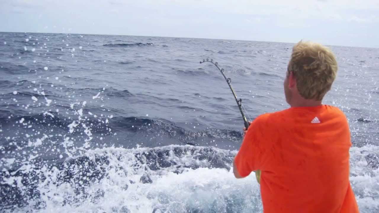Sportfishing New Jersey 2013. Offshore, inshore and spearfishing. Blue