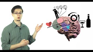 The Addicted Brain Science Of Addiction Detox To Rehab