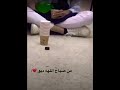 ذكريات بنات الثانوي تخرجو بزمن كرونا