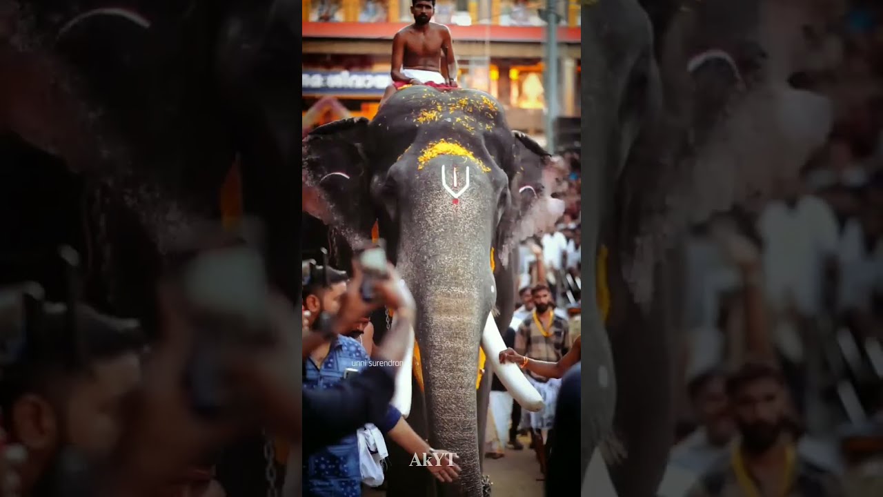 Naattu Rajav  Pambady Rajan Thirunakkara pooram Entry  AkYT