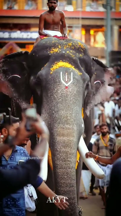 Naattu Rajav | Pambady Rajan Thirunakkara pooram Entry | AkYT