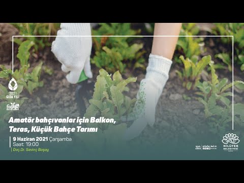 Video: Benzersiz Bahçe Hediyeleri – Her Şeye Sahip Bahçıvanlar İçin Hediyeler