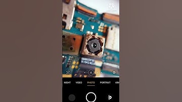 macro photography.. #photography  #shortvideo #shorts #ytshorts #short #macro #macrophotography