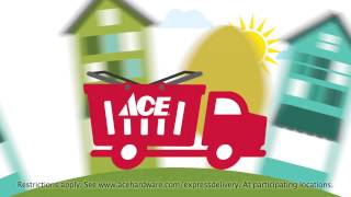 Express Delivery- Same Day Delivery from your Neighborhood Ace