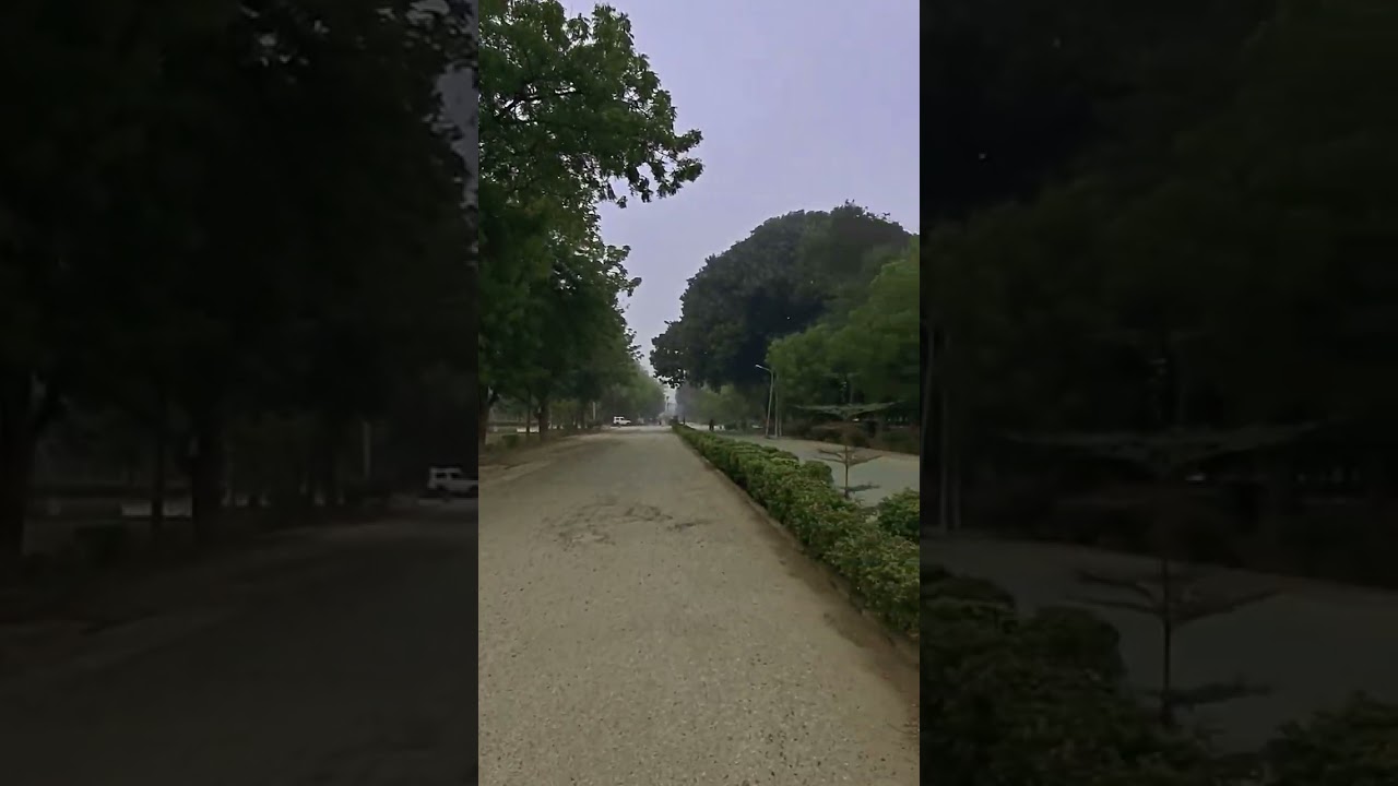 Sindh Agriculture University TandoJam CPD 