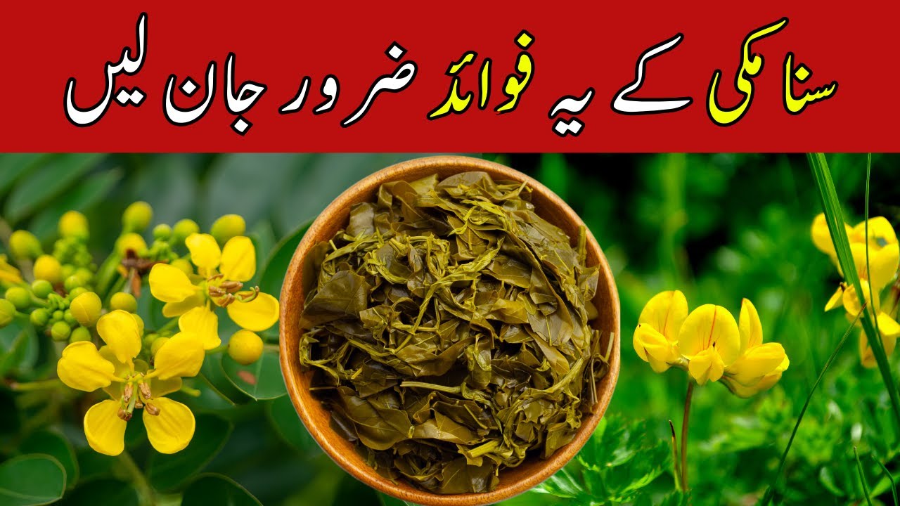 Health Benefits of Senna Makki A Natural Remedy