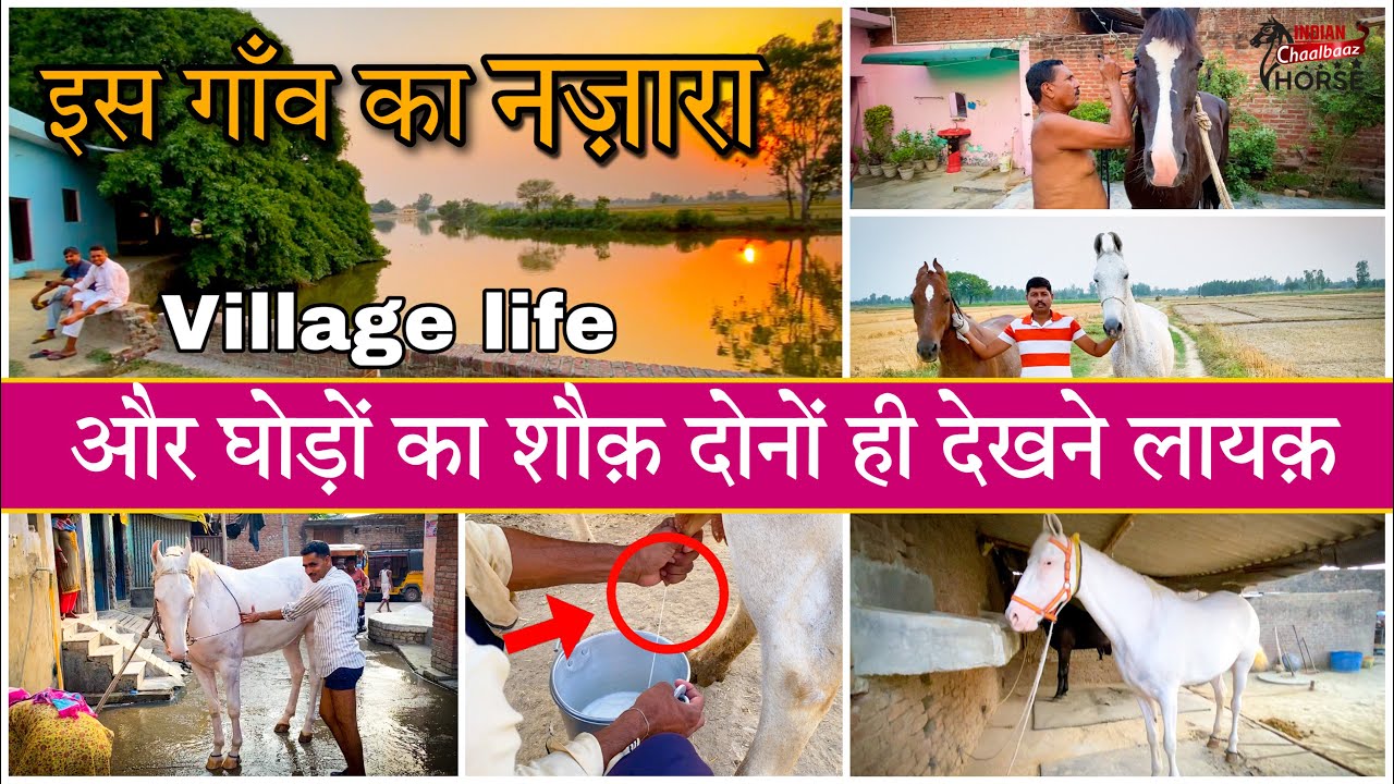 इस गाँव की ख़ूबसूरती और घोड़ों का शौक़ दोनों ही देखने लायक़_Gaon Connection #Indiavillagelife
