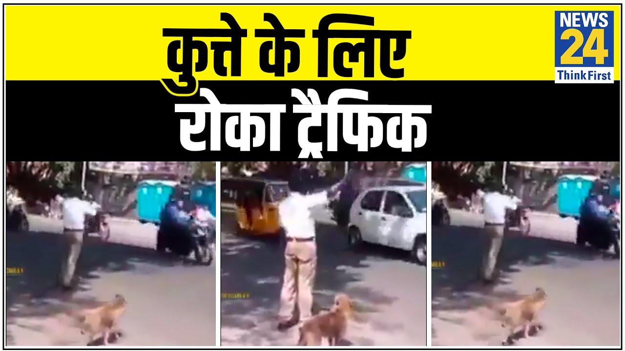 ट्रैफिक पुलिसकर्मी ने कुत्ते को सड़क पार कराने के लिए रोका ट्रैफिक, वीडियो सोशल मीडिया पर वायरल