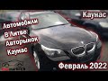 Автомобили в Литве. Авторынок Каунас. Февраль 2022