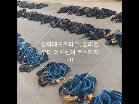 사과즙 추천