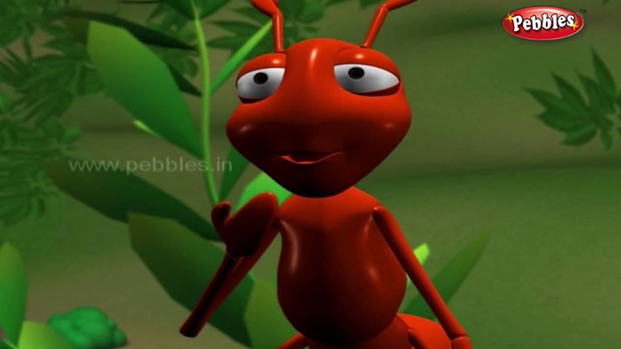 the ant