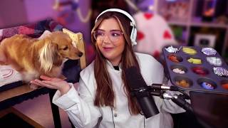 Finding out my dog's FAVOURITE food!