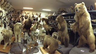 Illinois State Museum: Research and Collections Center