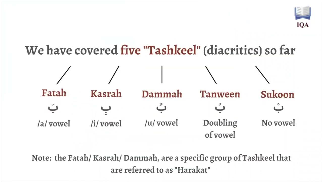 What is the Tanween in the Arabic language YouTube