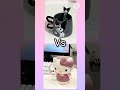 Kuromi vs hello kitty 🖤💗