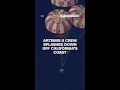 Artemis II Crew splashdown off CA coast