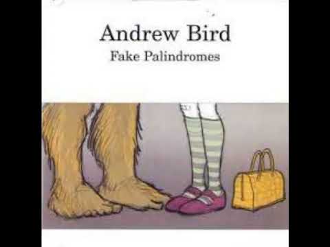 Andrew Bird   Fake Palindromes Orchestral Version with Nu Deco Ensemble