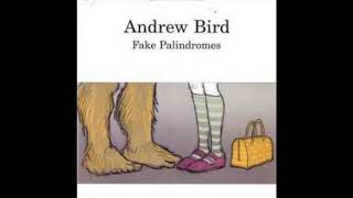 Andrew Bird   Fake Palindromes Orchestral Version with Nu Deco Ensemble