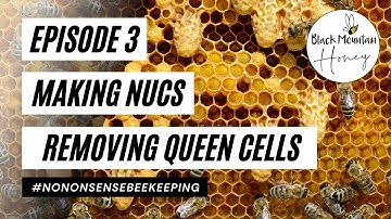 Overwintered Nucs - Episode 3 - Removing Queen Cells and Releasing Queen