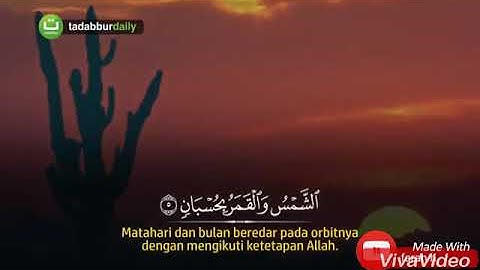 سورة الرحمن الايات ٥-١٥ مع تكرار للحفظ بصوت جميل