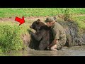 Man Saves A Drowning Bear But When It Reaches Shore The Bear Does Something Horrifying Man Saves A Drowning Bear But When It Reaches Shore The Bear Does Something Horrifying