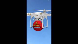 Secureball Boule Extincteur