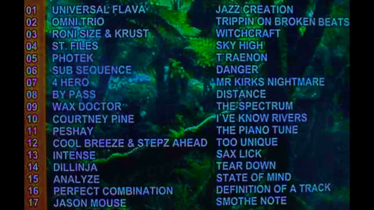 VARIOUS ARTISTS - JUNGLE HIT COLLECTION (2000) - YouTube