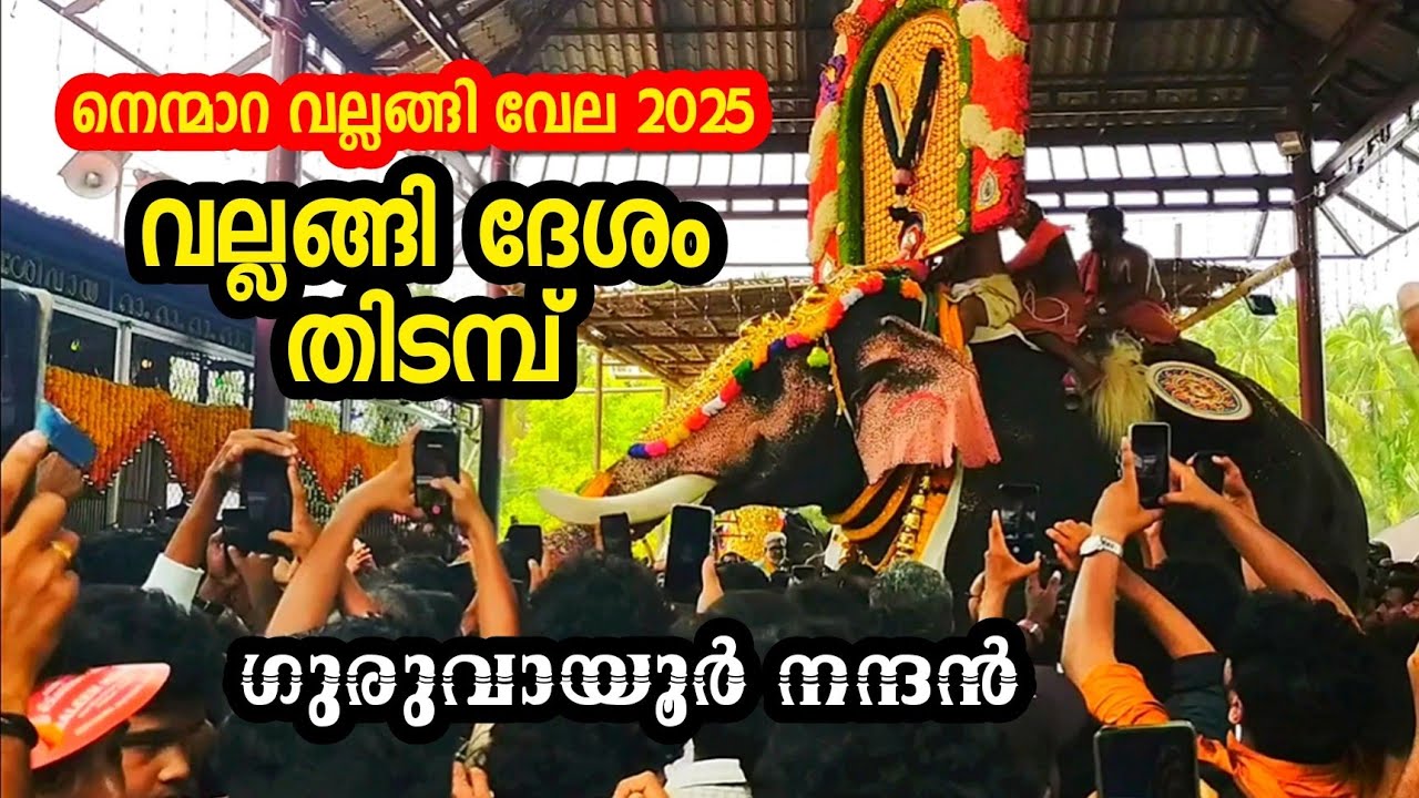 Nenmara Vela 2025 | Nenmara Vallangi Vela 2025 | Guruvayur Nandhan | Nenmara Vela Vedikettu 2025