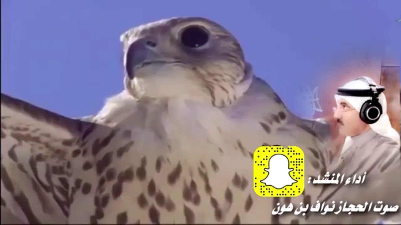 مرثية الامير مقرن بن عبدالعزيز في ابنه منصور بن مقرن اداء صوت الحجاز نواف بن هون 2019 حصري جديد