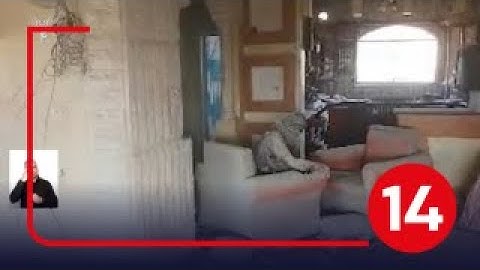 מת כמו כלב | תיעוד מיוחד של יחיא סינוואר ברגעיו האחרונים