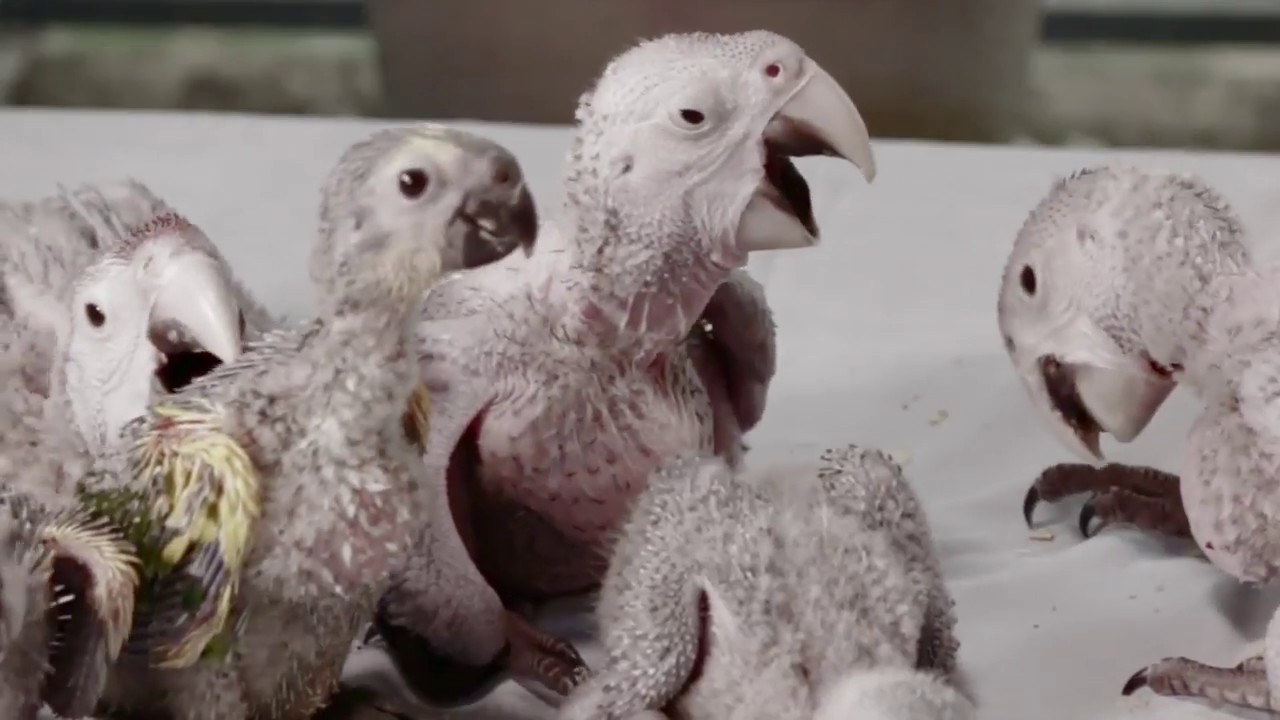 Rock n Roll pictures: An Inspiring filmmaker blog