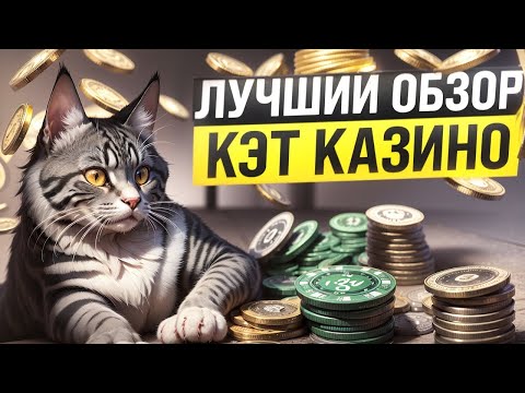 Официальный Сайт Казино Cat Casino: Лучшие Игры и Большие Выигрыши