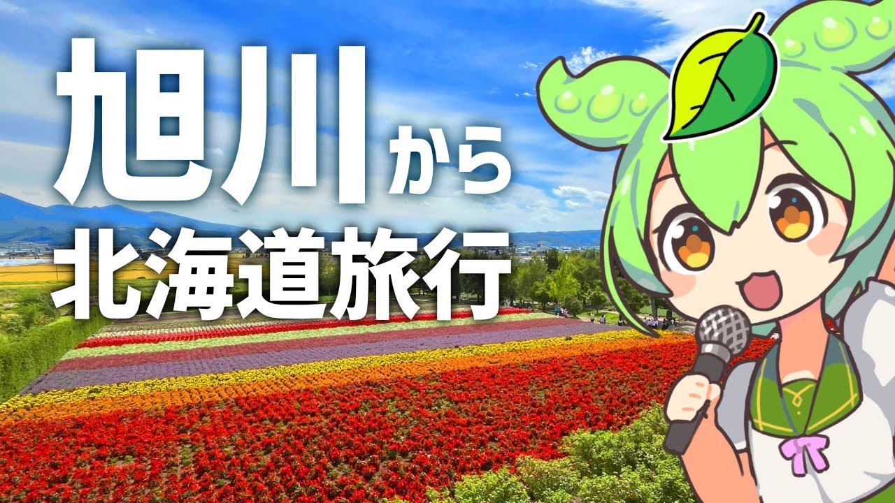 旭川から行く北海道観光レポ①～旭山動物園と美瑛・富良野～