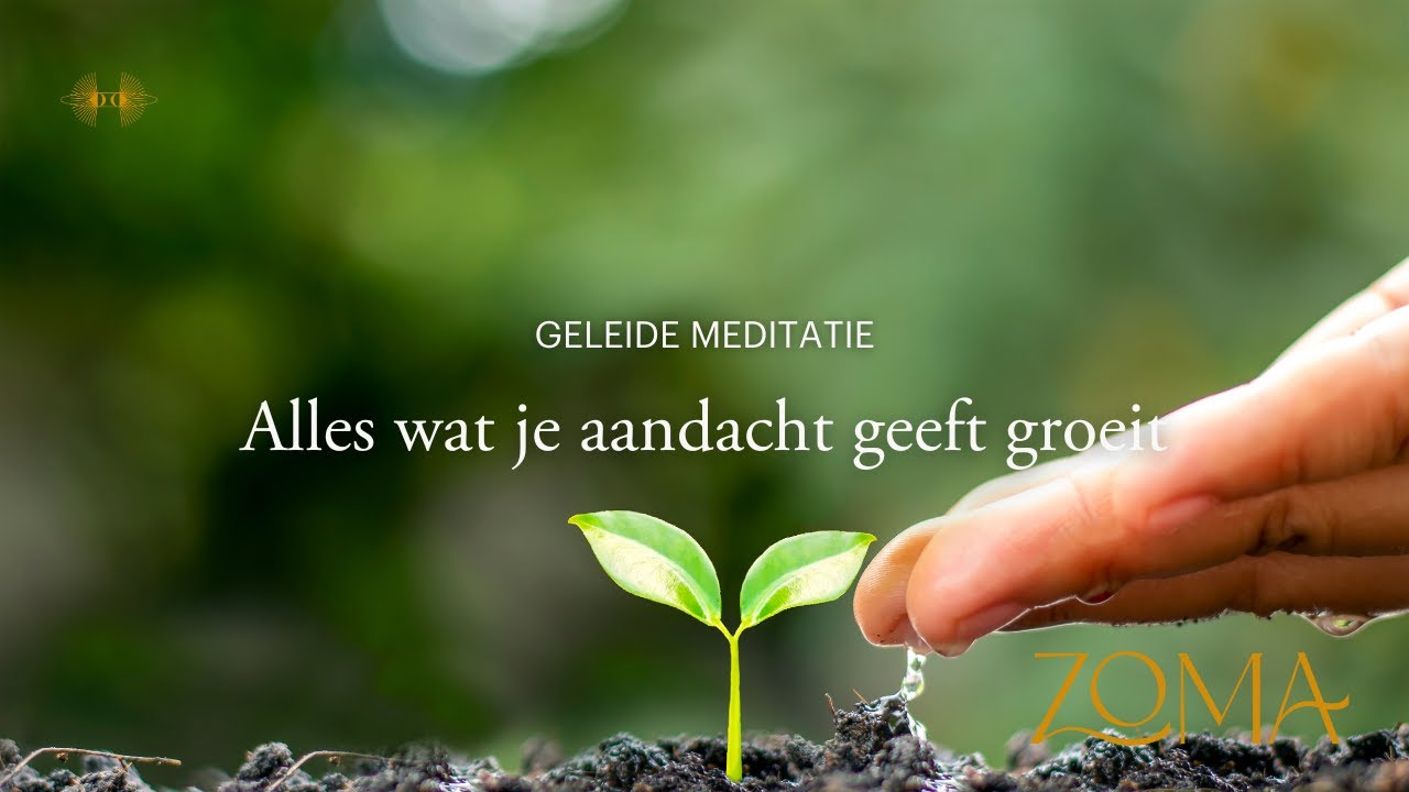 Meditatie Alles wat je aandacht geeft groeit | ZoMa Opleidingen - YouTube