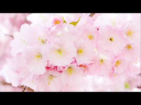 ここへ到着する 変わら ない もの 歌詞 付き - 最高の壁紙HD