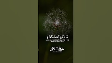 "تلاوة خاشعة تهز القلوب #قرآن #القرآن_الكريم #quran #قران_كريم #راحة_نفسية #تلاوة_خاشعة