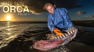 0800 SEE ORCA  Das Desaster geht weiter.. | Folge 6