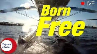 Born Free alp Yener Cover  Film   Andy Williams  John Barry  Matt Monro cover song