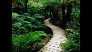 Tan Dun - For The World