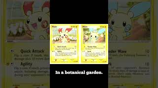 Connected Minun and Plusle Pokemon Cards