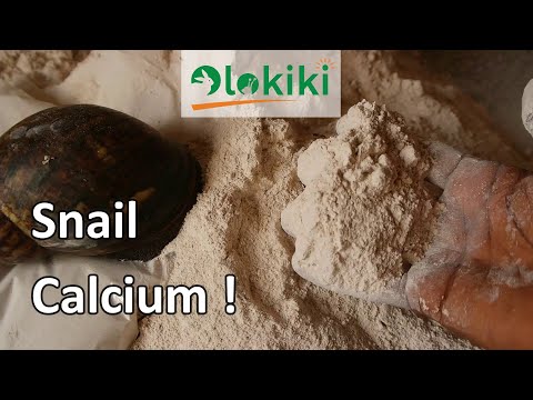 Video: Shells As A Source Of Calcium