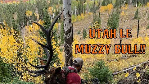 UTAH MUZZLELOADER BULL ELK AT 25 YARDS!!! | SMOKED HIM!!!