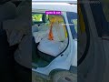 Desi dum#automobile #