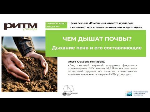 Чем дышат почвы?